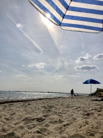 Herrliche Entspannung für Hund und Herrchen