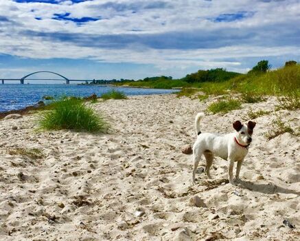 Toplage 500 m zum Meer