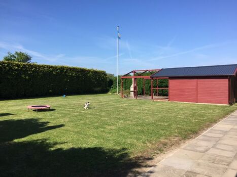 komplett eingezäuntes sonniges Grundstück 