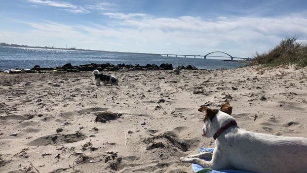 Entspannung pur-Meer vor der Haustür