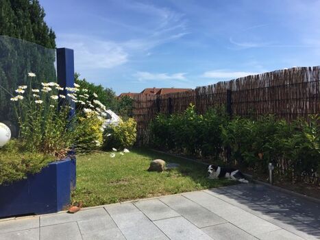 eingezäunter Terrassen-/Gartenbereich