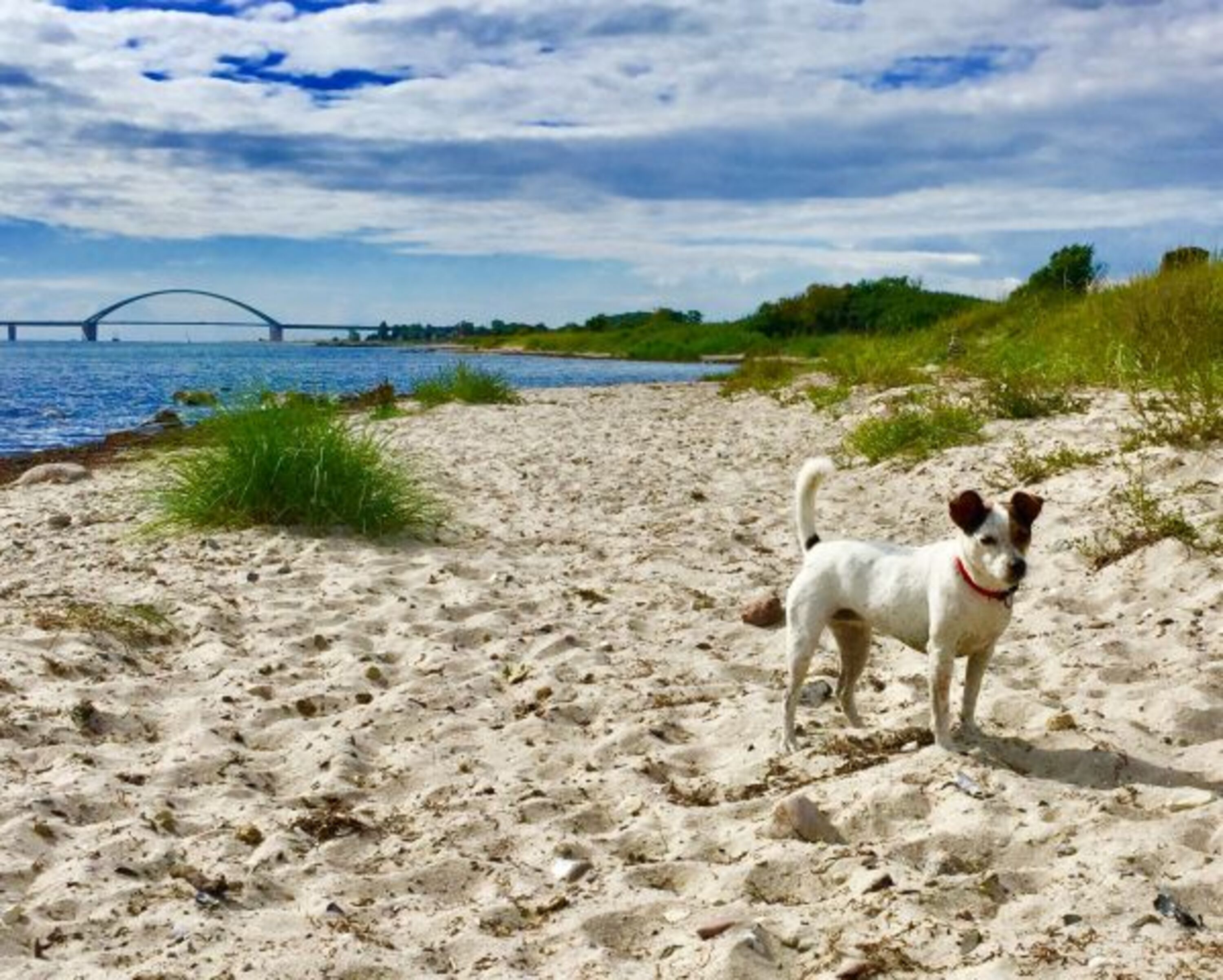 Toplage 500 m zum Meer