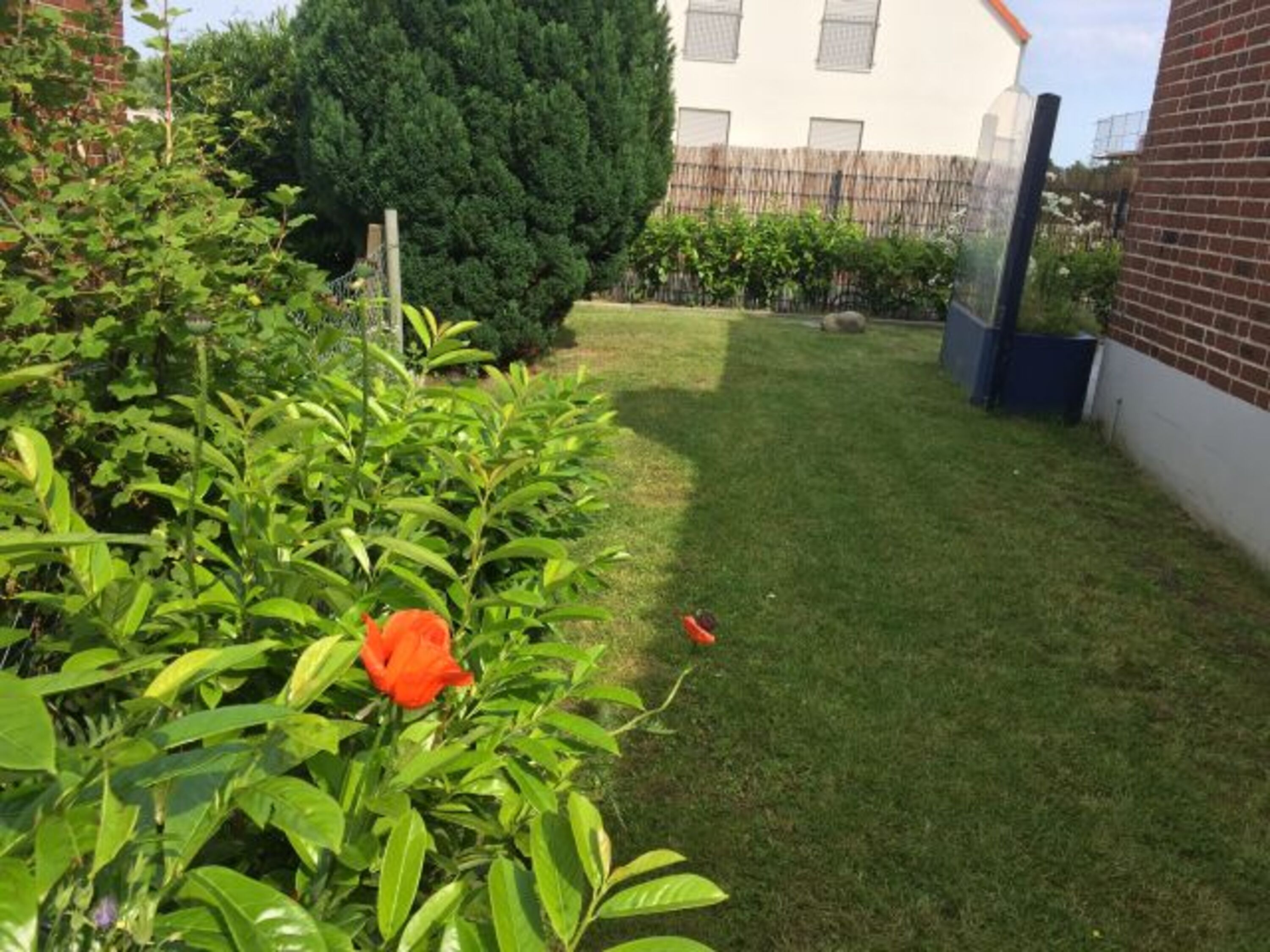 Ihr Gartenteil zu dieser Wohnung
