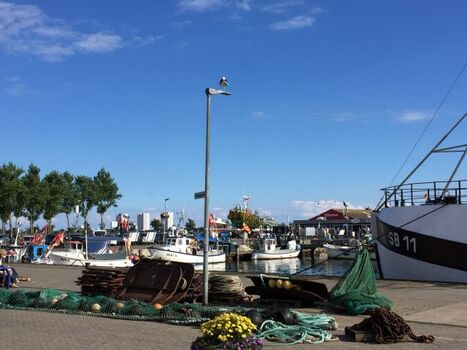 Zum Hafen nur ein Katzensprung