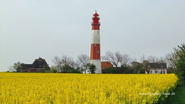 Fehmarn bietet viele Möglichkeiten