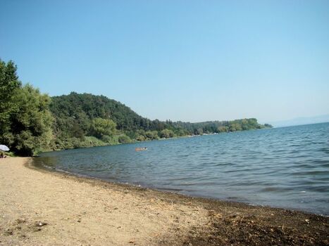 Am Bolsenasee. Es gibt Strand- und Wiesenabschnitte wo Hunde frei herum springen und baden können.