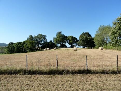Ausblick aus dem Schlafzimmer und Badezimmer Fenster