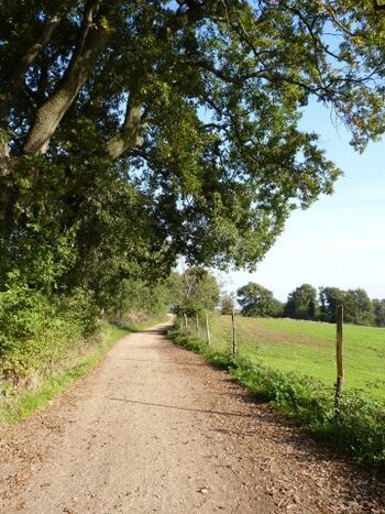 Spazierweg vom und zum Haus