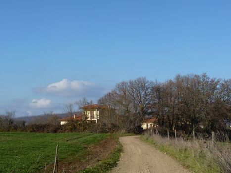 wunderschöner, ruhiger Spazierweg direkt vor dem Haus