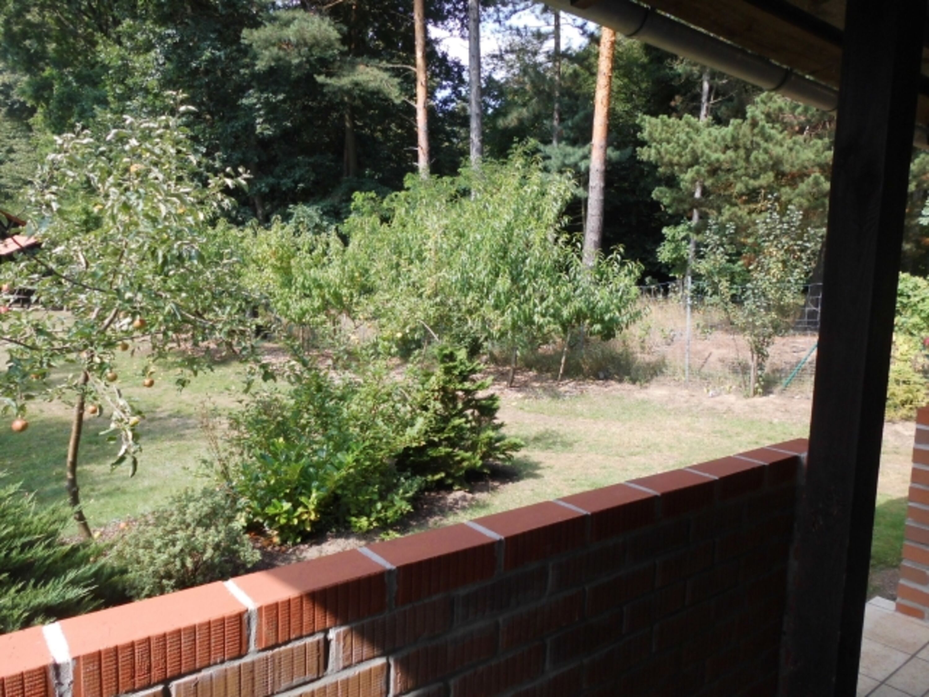 Aussicht von der Terrasse