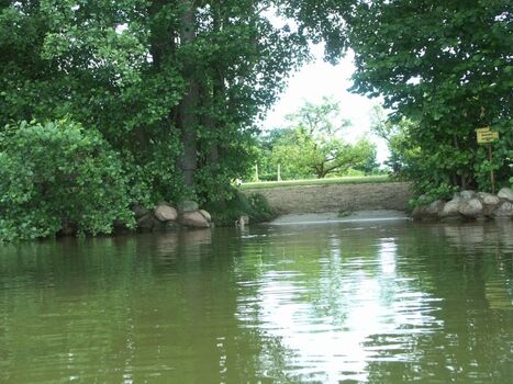 hauseigene Badestelle 