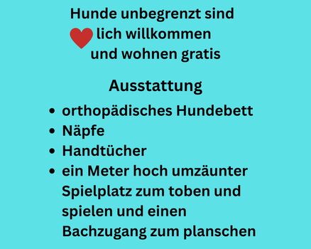 Hundeausstattung