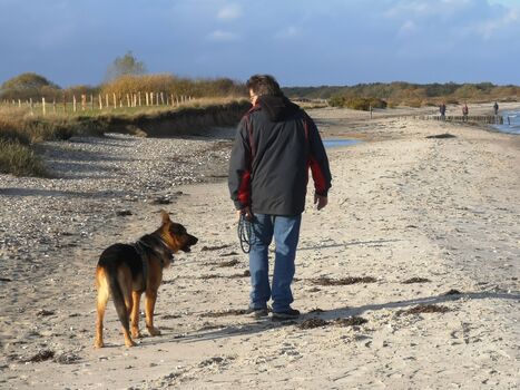 Strandspazierganz im Herbst. Ruhe pur...