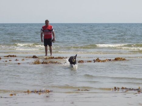 Ostsee Weidefelder Hunde-Strand