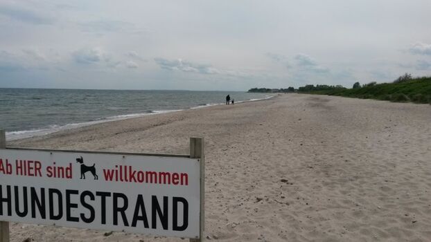 Hundestrand Weidefeld