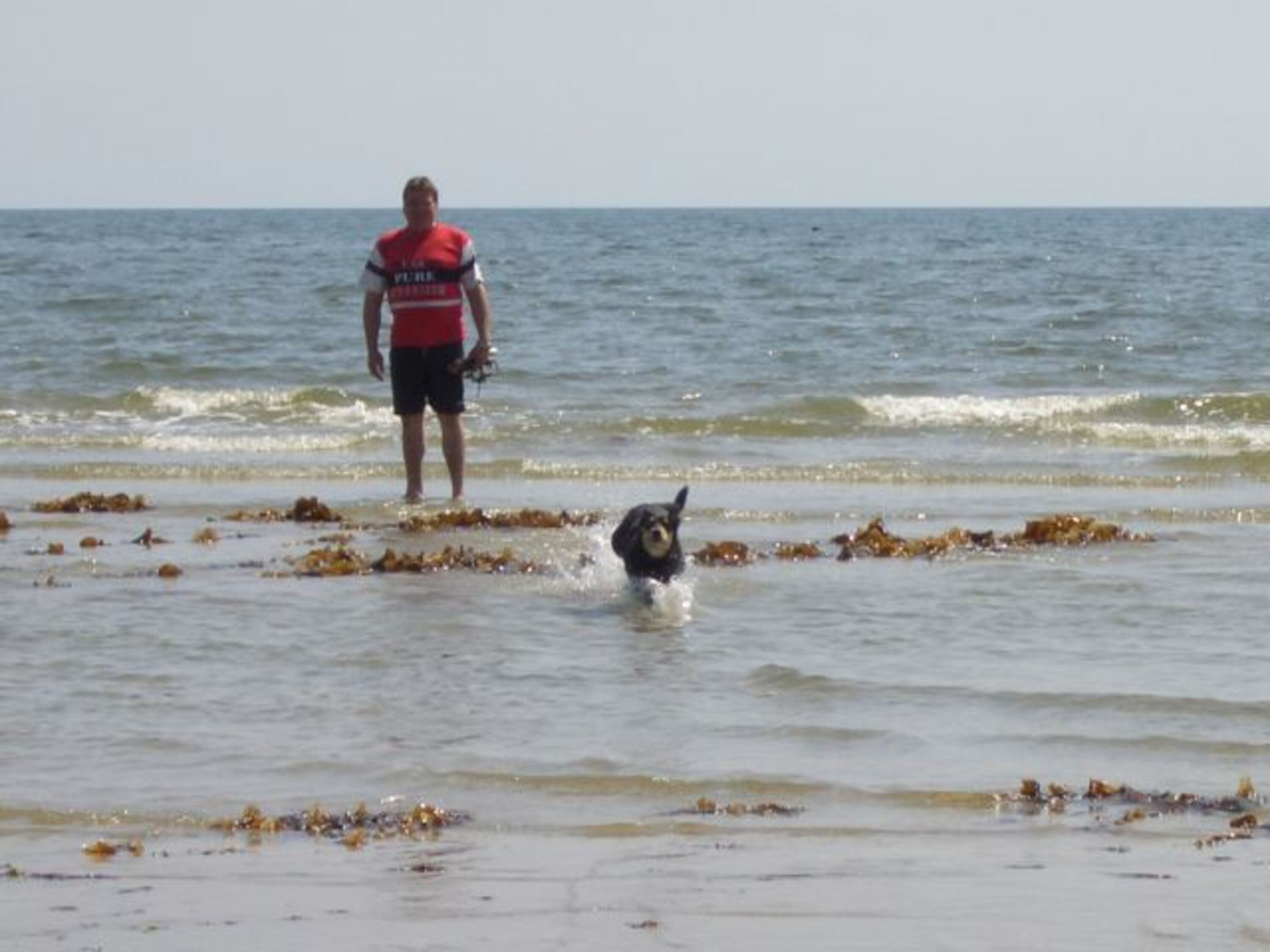 Ostsee Weidefelder Hunde-Strand