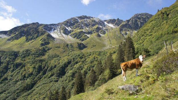 Tennladen Apartments Wildschönau Fewo Austria