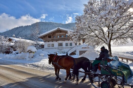 Tennladen Apartments Wildschönau Tirol direkt an der Skipiste