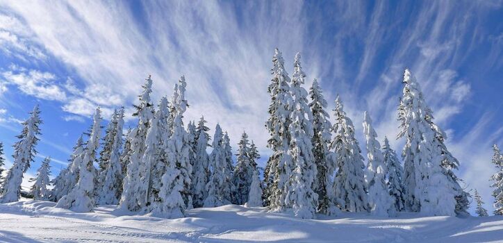 Urlaub in der Wildschoenau Tirol Familienurlaub Hotel Apartment Ferienwohnung