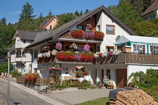Unser Blumen Haus
