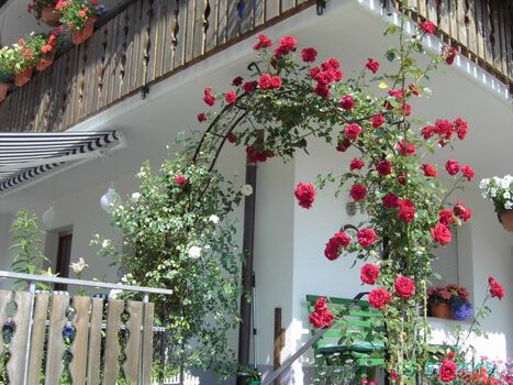 ROsenbogenam Eingang