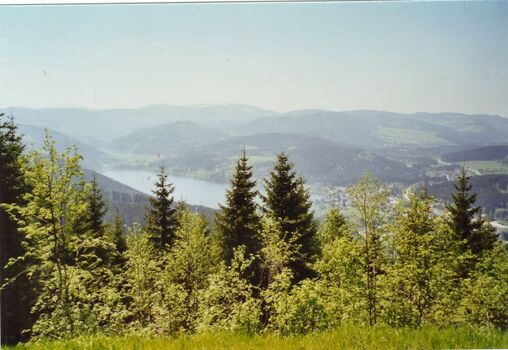 Blick vom Hochfirst zum Titisee