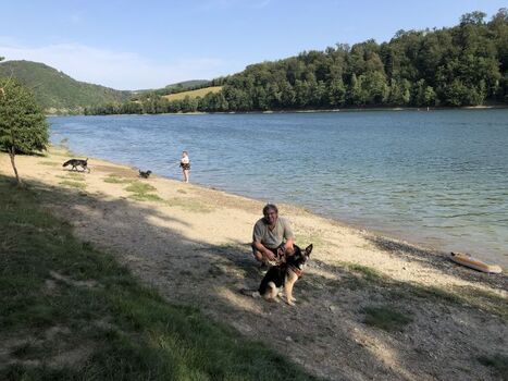 Der Diemelsee: Hundestrand mit angrenzenden Wasserspass für Kinder