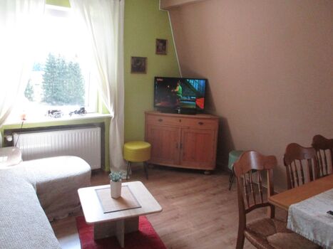 Wohnbereich mit Fleetscreen TV mit INTERNET