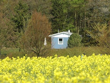 Bungalow inmitten der Natur im Feriendorf