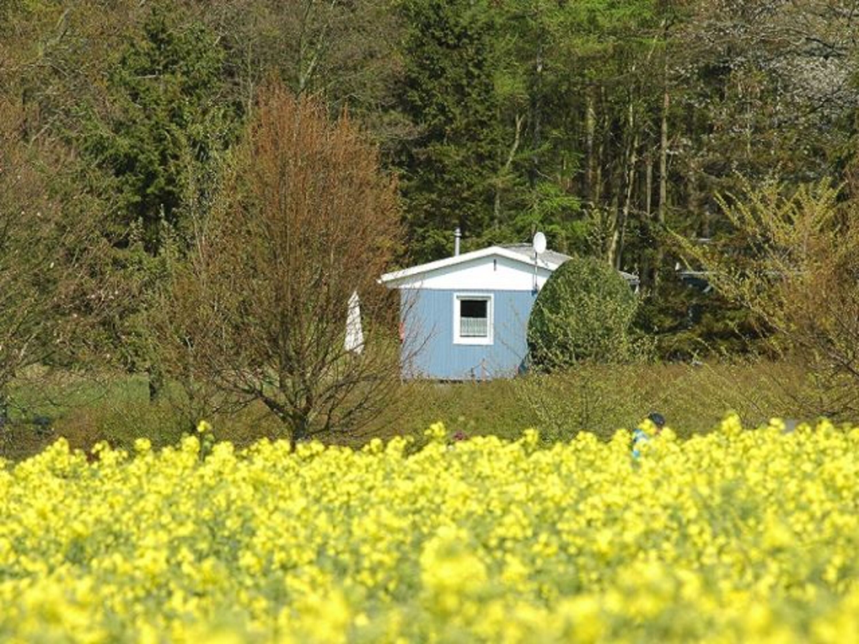 Bungalow inmitten der Natur im Feriendorf