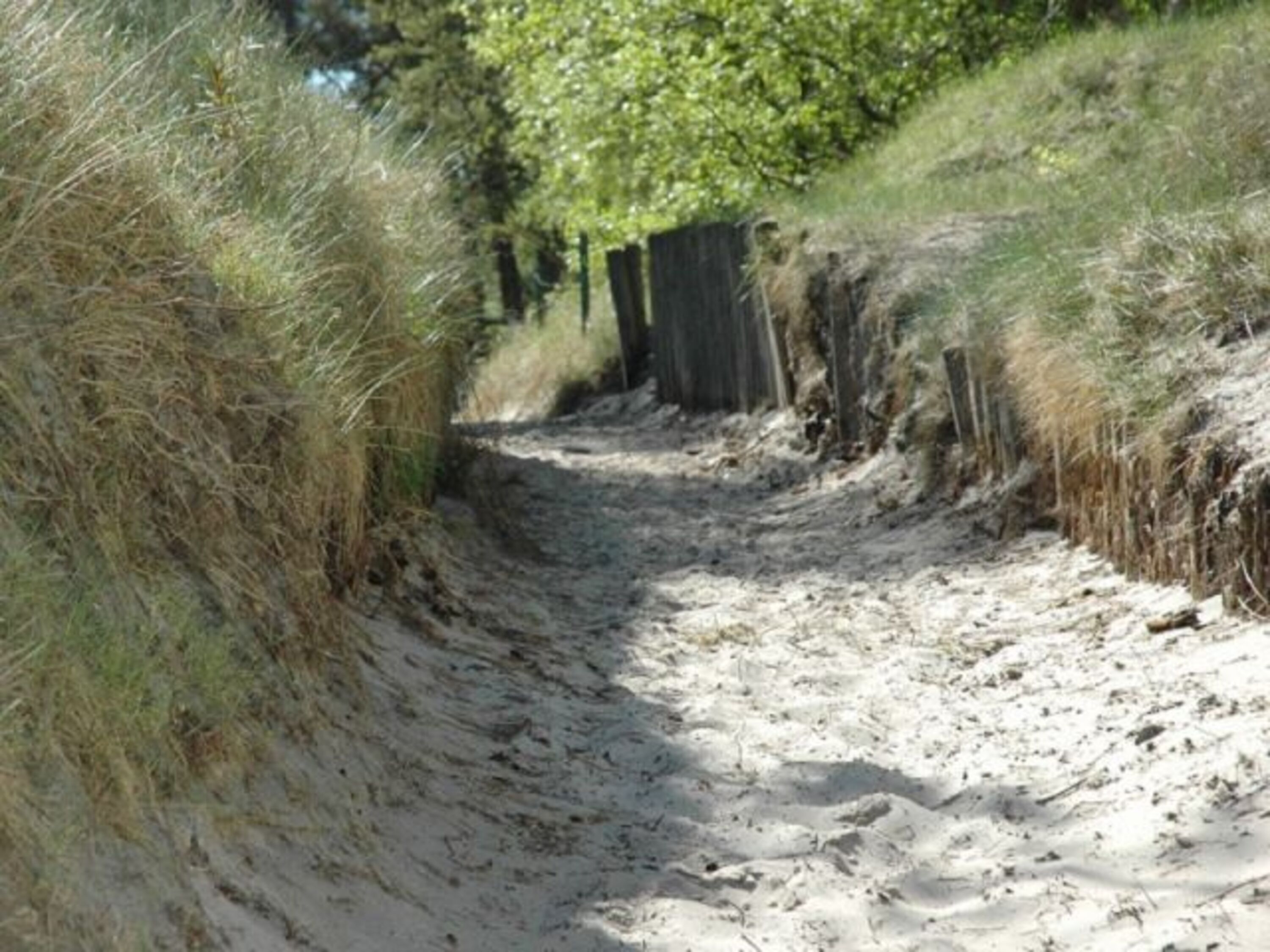 Strandabgang zum Sandstrand Nonnevitz