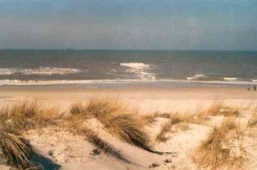 kilometerlanger Strand mit Dünen