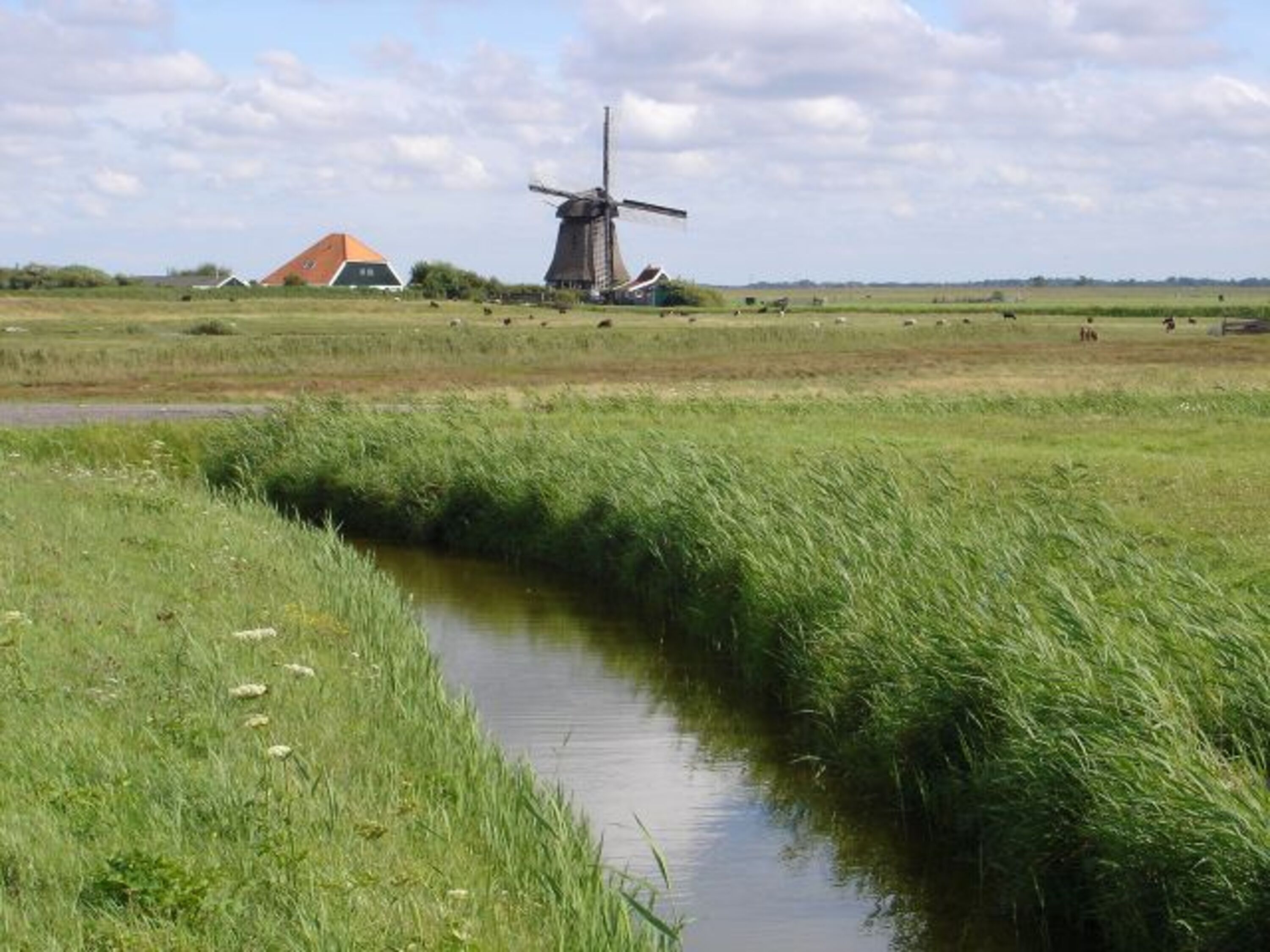 idyllische Polderlandschaft, Kanäle und endlose Fahrradwege