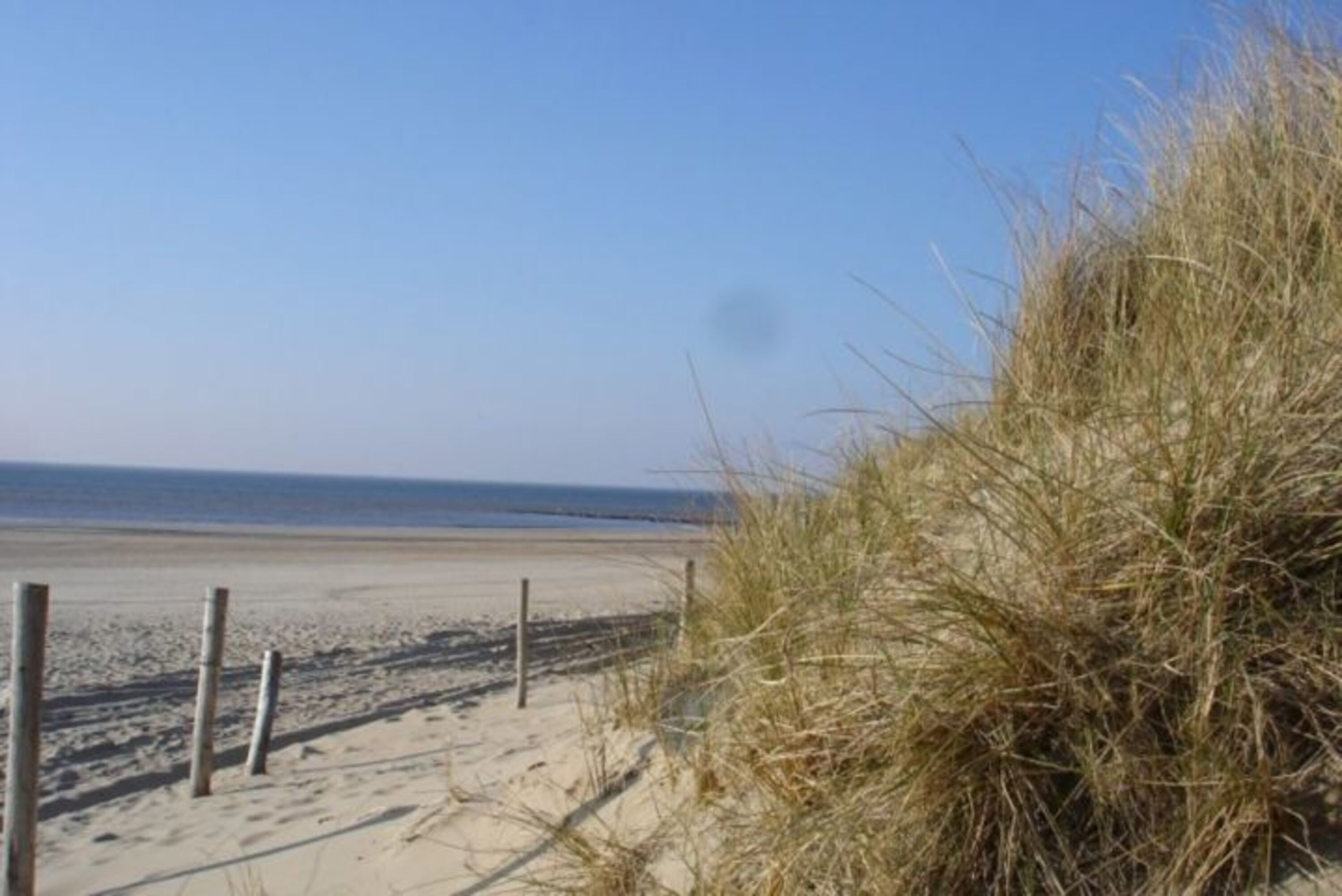 Dünenlandschaft