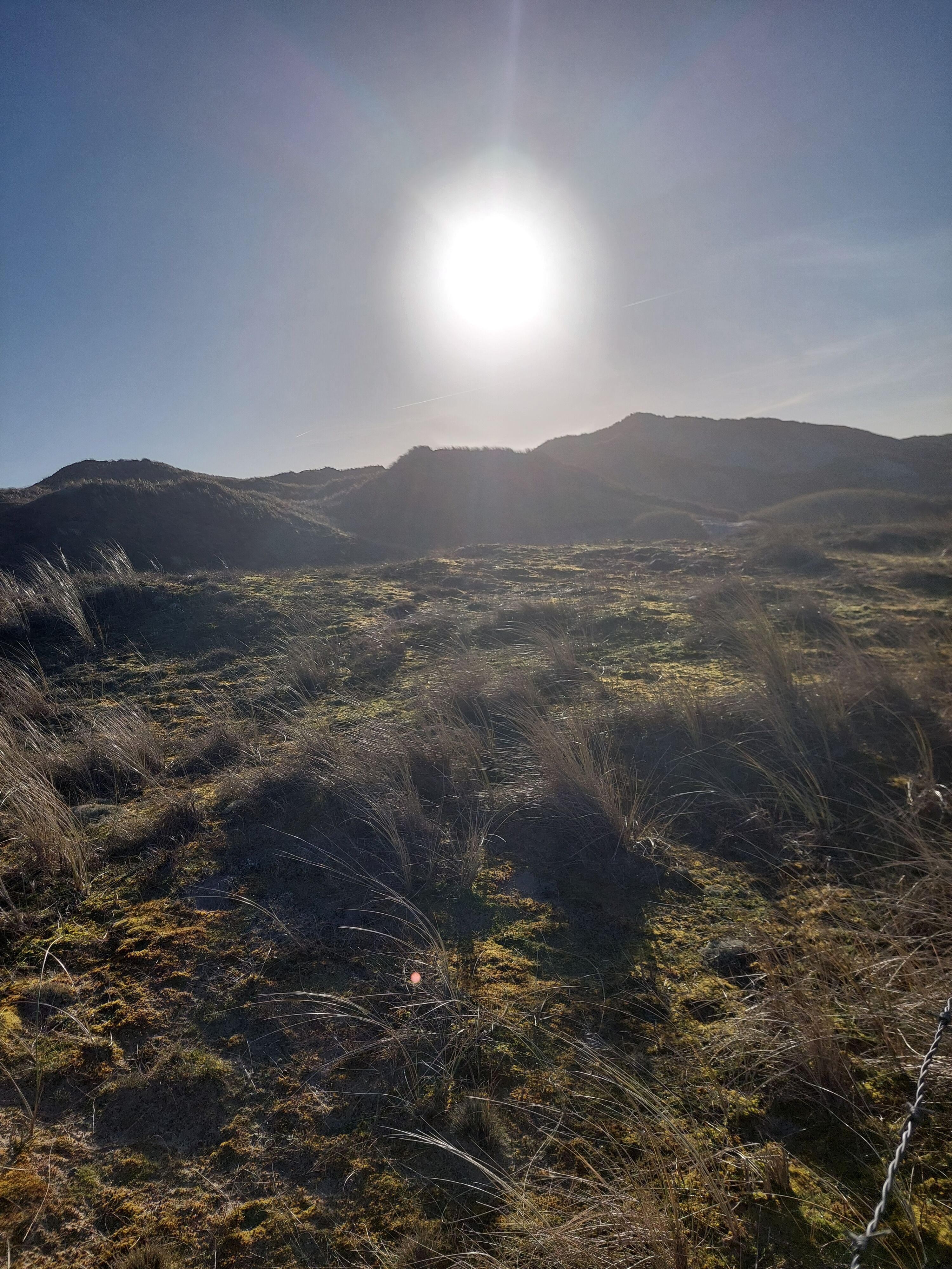 Abendstimmung in den Dünen