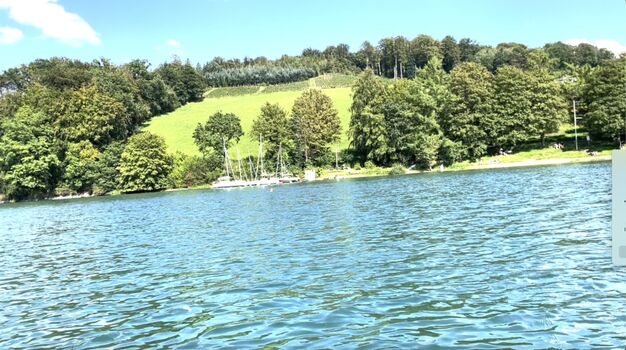 Ein kurzer Fuss weg und schon sind Sie am See