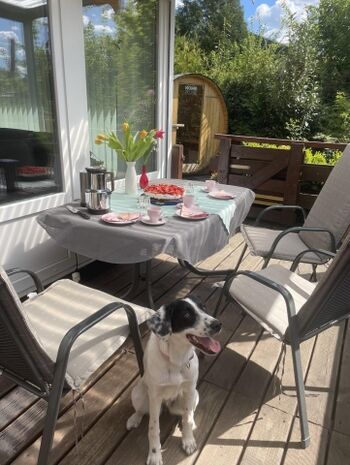 Entspannen Sie bei Kaffee und Kuchen auf der überdachten Terrasse