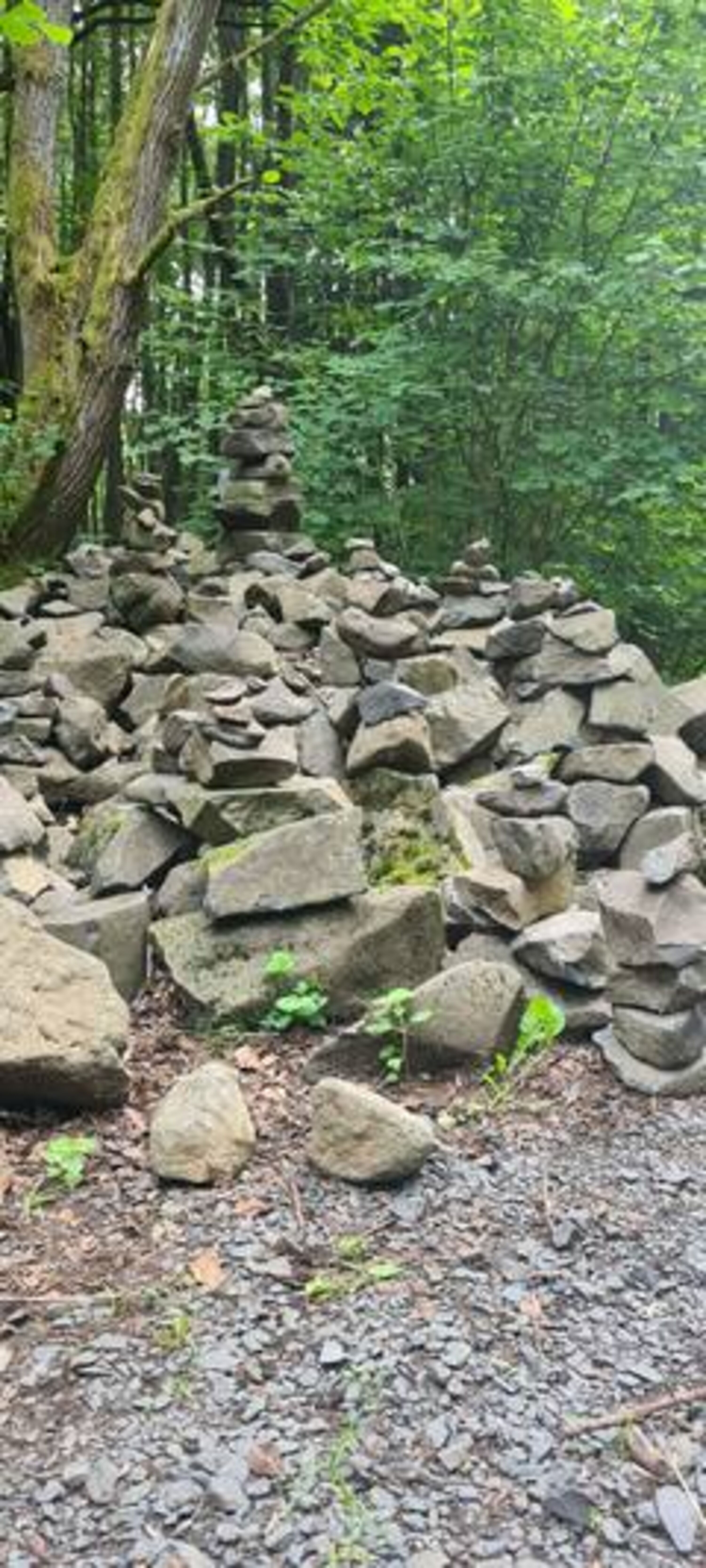 Bild 13