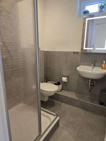 Modernes Bad mit Dusche, WC & Handtuchheizkörper