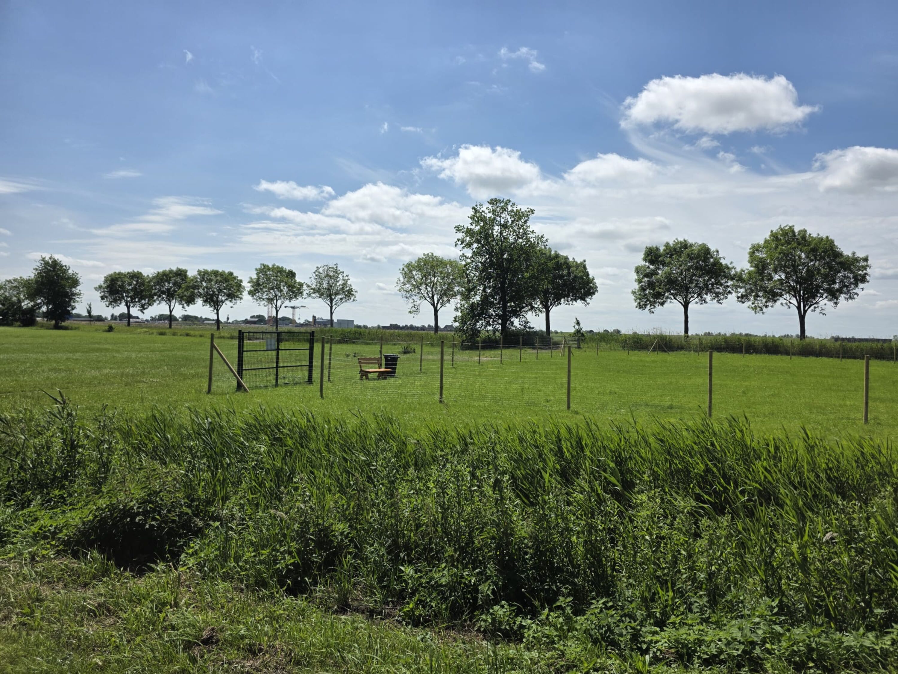 KatenWiese - 2500m² eingezäunte Freilauffläche mit Blick über die Felder