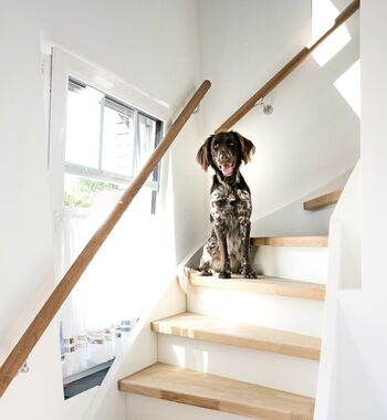 Treppenaufgang zur Wohnung