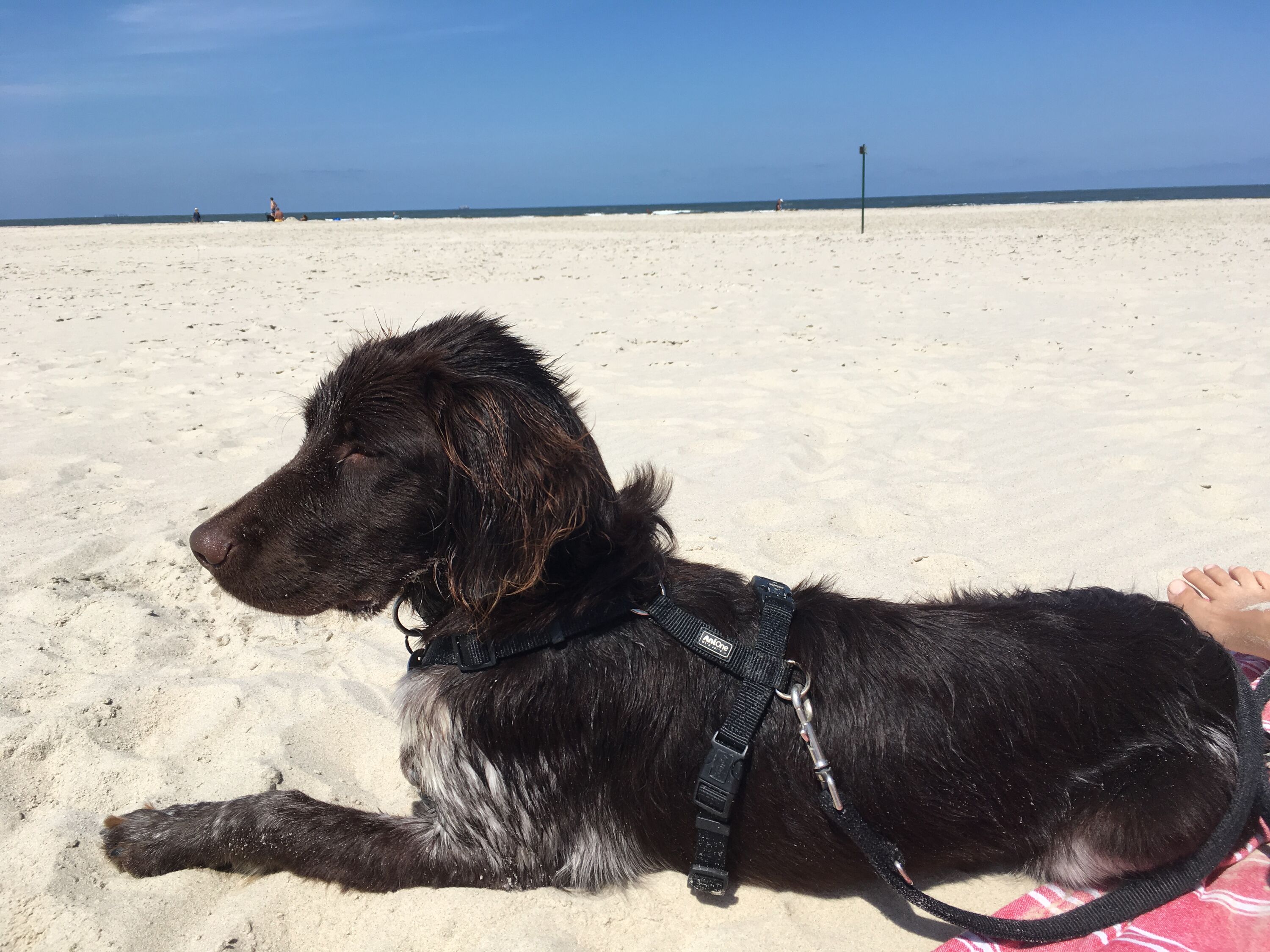 Relaxen am Strand