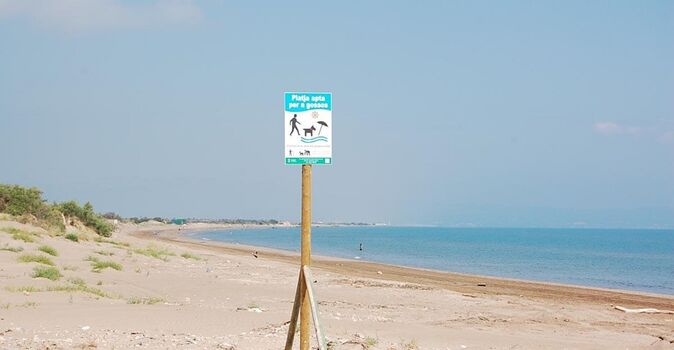 Hundestrand