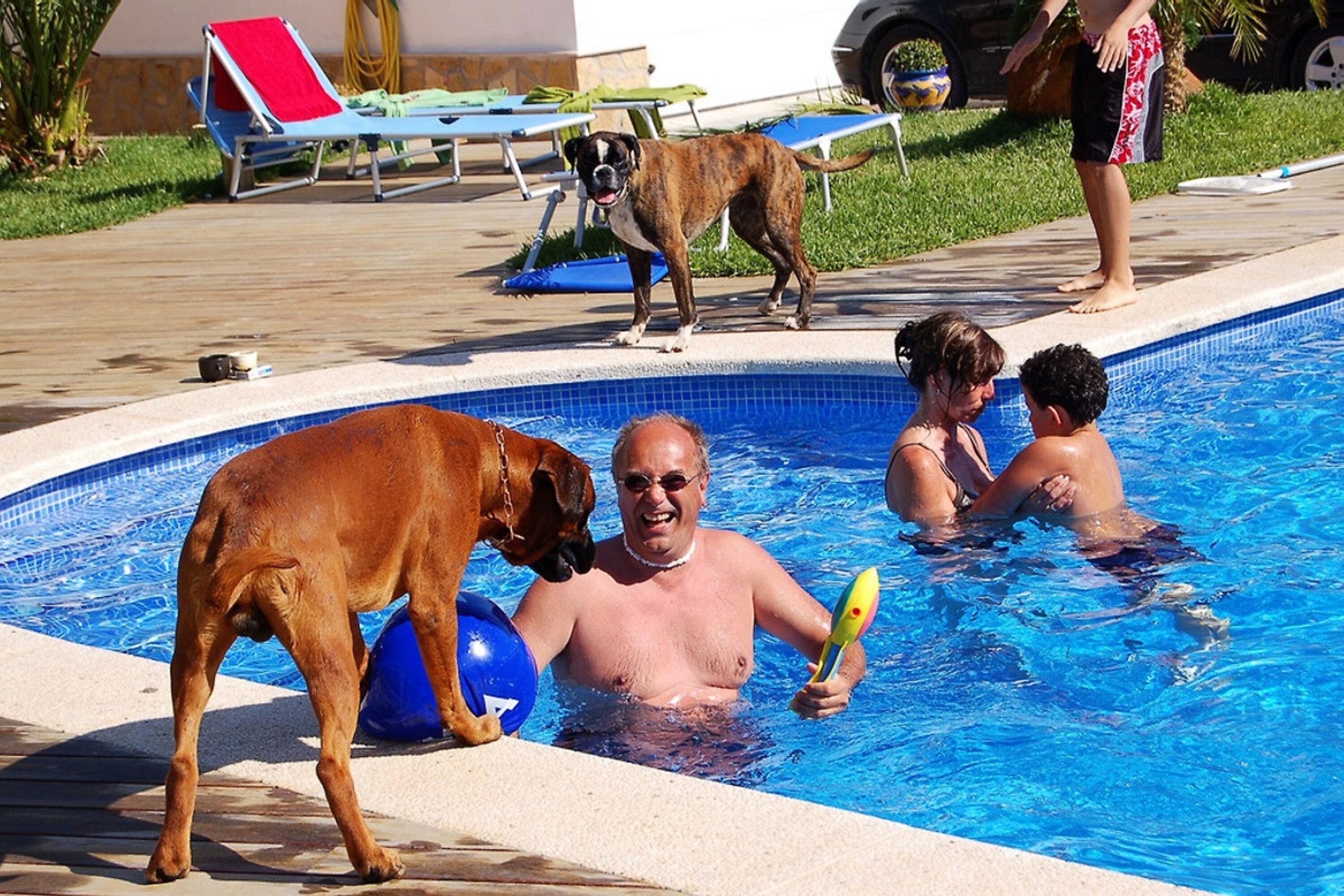 Badespass im privaten Pool