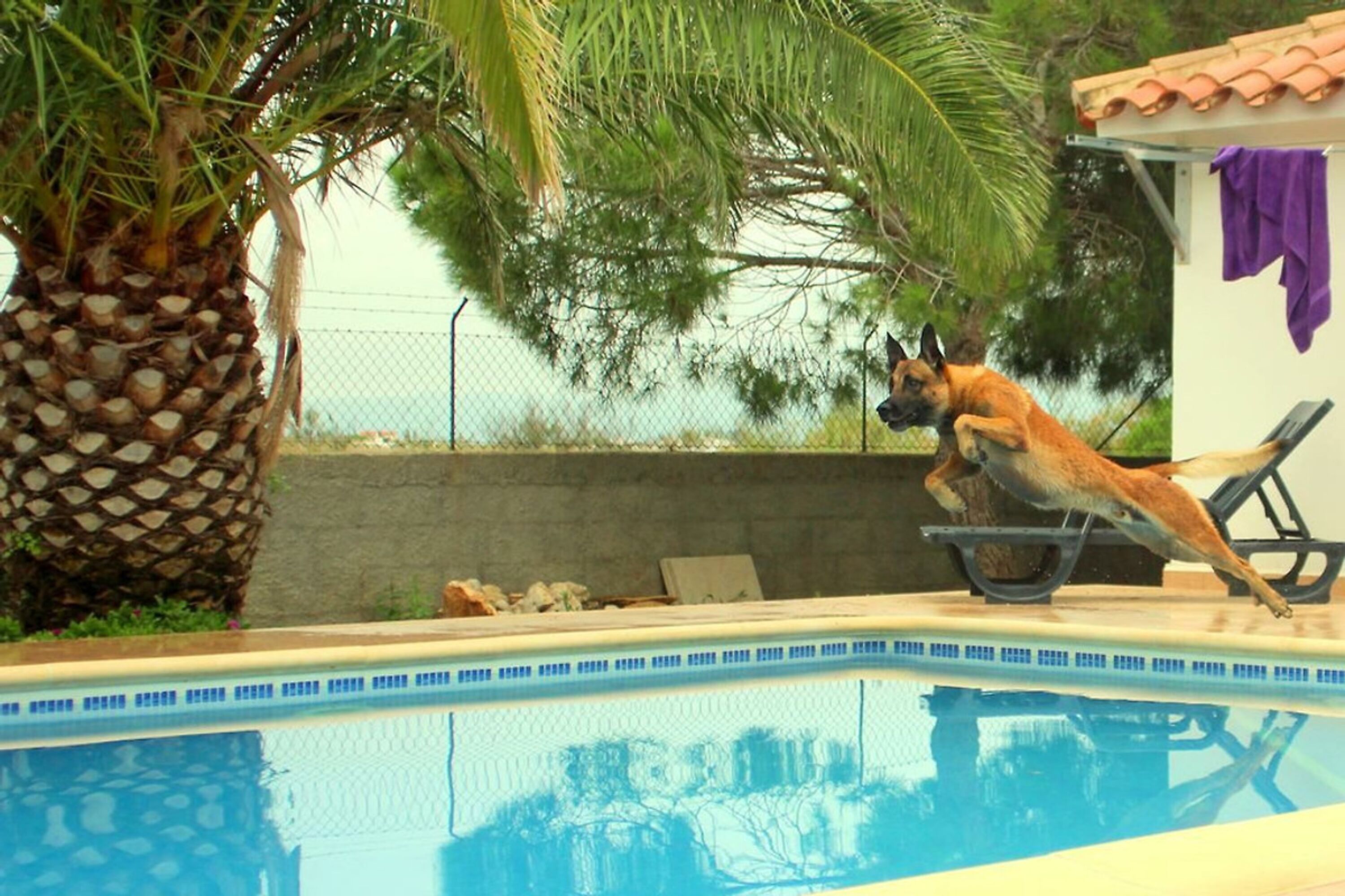 Badespass im Pool