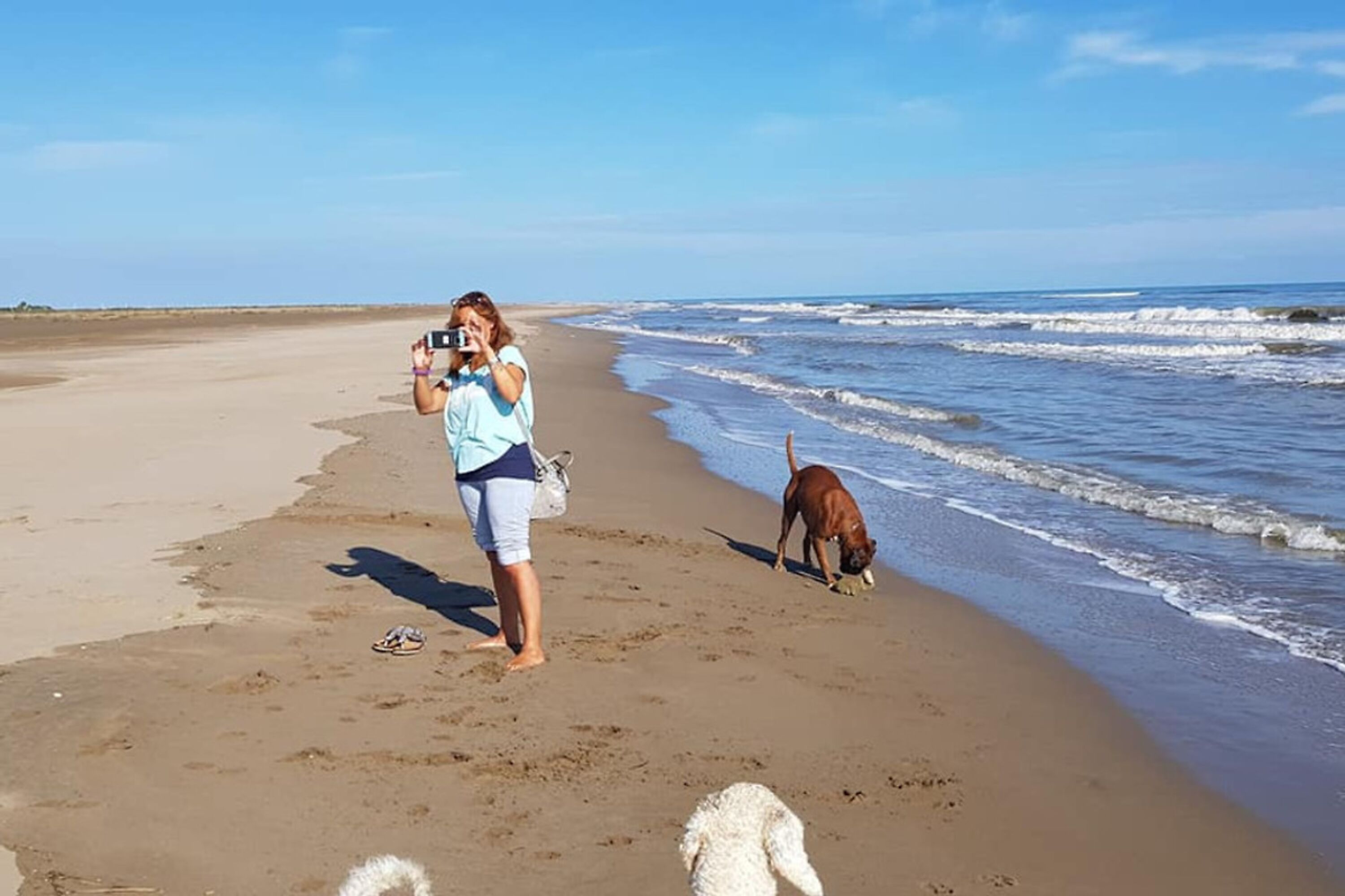 kilometerlanger Hundestrand mit Surfschule