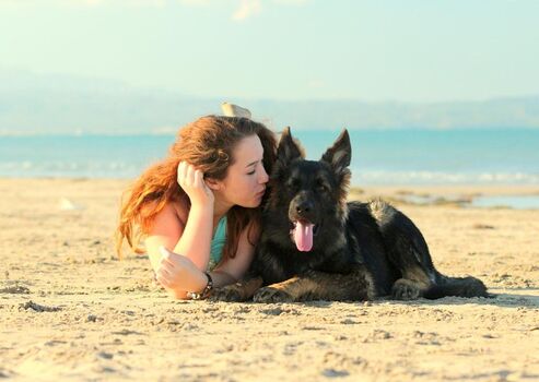 Hunde wohne bei uns kostenlos