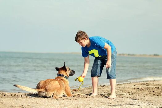 Mit dem Hund allein am Strand