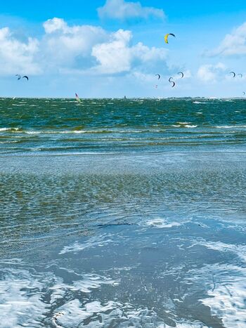 Surfen