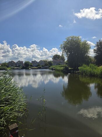 Blick vom Steeg